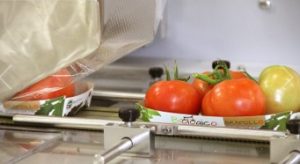 Flowpacken van tomaten